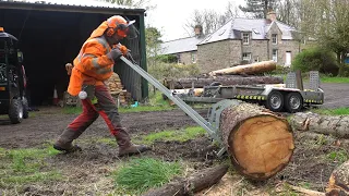 Lift and Cut HUGE Logs with the Forest Master 2-in-1 Log Lifter and Sawhorse (FMLL)