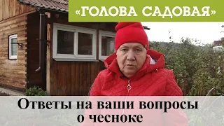 Голова садовая - Ответы на ваши вопросы о чесноке