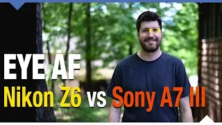 Eye AF Comparison! Nikon Z6 vs. Sony A7 III