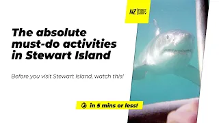 🗺️ The absolute must-do activities in Stewart Island NZ - NZPocketGuide.com