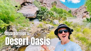 I Found a PALM OASIS in the Middle of the Desert | Boondocking in Anza Borrego