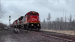 Early spring chase on Iron Range Sub