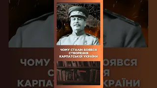 "Они хотят пальто пришить к пуговице". Ось чому Сталін боявся Карпатської України / ПАРАГРАФ