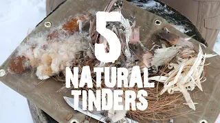 5 Natural Fire Starting Tinders in the Winter