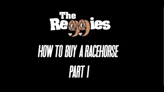 How To Buy A Racehorse - Part 1 (VLOG)