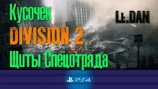 Кусочек The Division 2. Щиты Спецотряда [PS4 Tom Clancy's THE DIVISION]