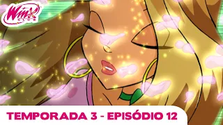 Winx Club - Temporada 3 Episódio 12 - Lágrimas do Salgueiro Negro - EPISÓDIO COMPLETO