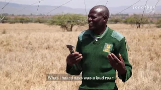 Encounter with a Lion in the Wild | Conservancy Personnel Narrates His Experience