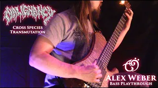 Alex Weber - Malignancy - Cross Species Transmutation