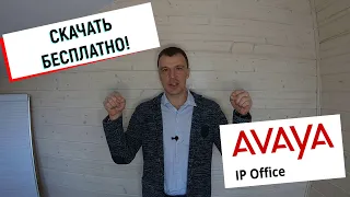 Где и как скачать мини АТС Avaya IP Office Server Edition?