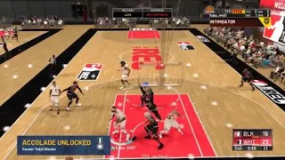 NBA 2K20 snag block