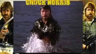 Chuck Norris - "I'm Not Going to Fight!" (Tribute Video)