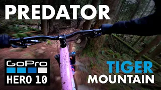 Hardest Ride at Tiger Mountain? Predator Mountain Bike Trail