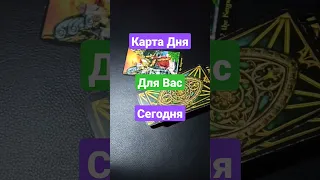 Карта Дня Для Вас Сегодня Таро Онлайн Расклад #таро #гаданиеонлайн  #tarot