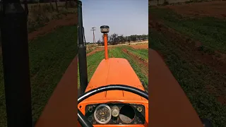 fiat 650 special plowing