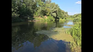 Окунь на спиннинг летом.  В красивом месте