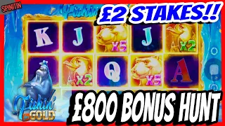 £800 Double Bonus Hunt! £2 Stakes!