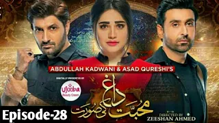 Mohabbat Dagh ki Soorat Episode 28 - Har Pal Geo - December 15, 2021