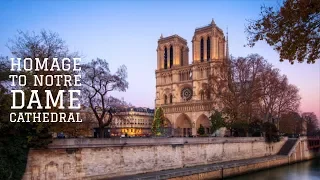 Homage To Notre Dame Cathedral (A Tribute to Grandeur)