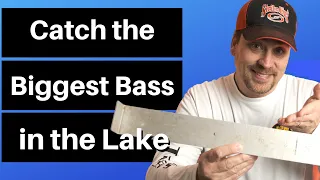 How to Catch the Biggest Bass in the Lake