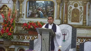 Eucaristia Martes  29 de Noviembre de 2022 - 12:00 m   Basílica Señor de los Milagros de Buga