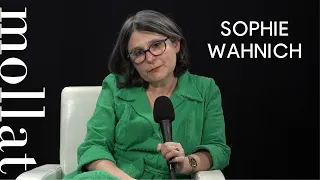 Sophie Wahnich - La Révolution des sentiments