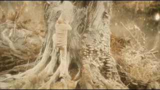 Best Scene In The Fountain Movie - Must Watch