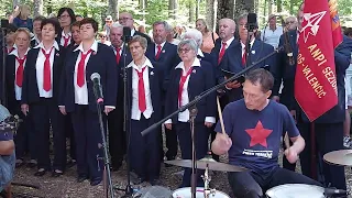 Sivi sokole - Tržaški partizanski pevski zbor Pinko Tomažič - Baza 20 - 8.7.2023