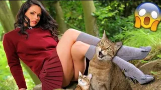 Funniest Animals 2023 Funniest Cats and Dogs Video Part 16