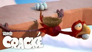 CRACKE - DANGER! SAVE THE EGGS! | Funny Compilations | Videos For Kids