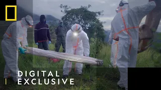 The Next Pandemic | Virus Hunters | National Geographic UK