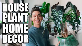 HOUSEPLANT COLLECTION + TOUR | ESSENTIAL PLANT CARE TIPS & TRICKS | INDOOR PLANT STYLING AS DECOR