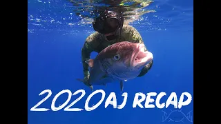 אמיר סאדי דייג בצלילה חופשית סיכום שנת 2020 || Amir Sadi spearfishing AJ recap 2020 !!