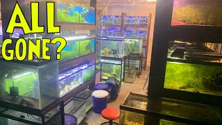 NO MORE FISH TANKS In My Garage Fish Room! (everything explained)