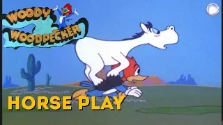 Woody Woodpecker in Horse Play | A Walter Lantz Production