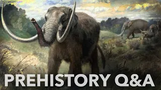 PREHISTORY Q&A with the Prehistory Guys recorded 9th JUNE 2022