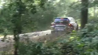 Barum Czech Rally Zlín 2023 / Shakedown / Qualification / FLAT OUT, Action + CLOSE CALLS