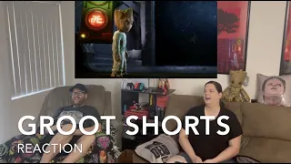 I Am Groot Shorts Reaction (First Steps, Little Guy, Groot's Pursuit, Takes a Bath, Magnum Opus)