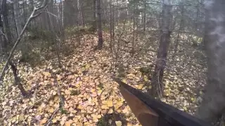 Grouse hunting in NB