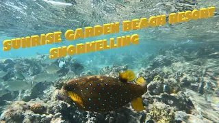 SNORKELLING SUNRISE GARDEN BEACH RESORT . EGYPT 2021 4K