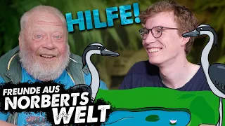 HILFE! REIHER AM TEICH | FREUNDE AUS NORBERTS WELT | Zoo Zajac