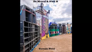 Dr.Mental & S'tek H - Terrain Privé - Tribe Mental - 150 Bpm