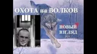 ОХОТА НА ВОЛКОВ  А.Н.Краснощёк ОДЕССА