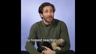 Jake Gyllenhaal "my honest reaction" meme