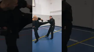 Punch & kick play #bujinkan #martialarts #ninja #ninjutsu #samoodbrana #selfdefense