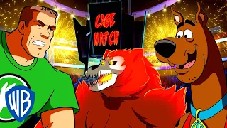 Scooby-Doo! Polsku | Walka z Duchowym nNedźwiedziem! | WB Kids