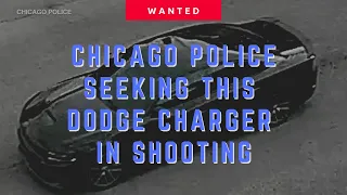 Chicago Police Seeking Dodge Charger From Canaryville Shooting