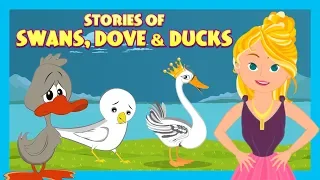 Stories Of Swans, Dove &  Duck |Animated Stories For Kids|Moral Stories and Bedtime Stories For Kids