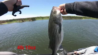 Exploring the CALIFORNIA DELTA ep.2 | SPRING BASS AND STRIPER | Extented CASTING DECK on ClassicXL