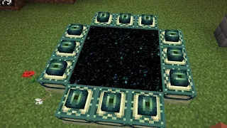 Minecraft I fought the Ender Dragon...